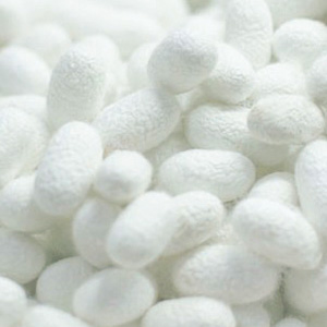 スーピマコットンの掛けふとんカバー