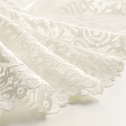 総レースジャケット