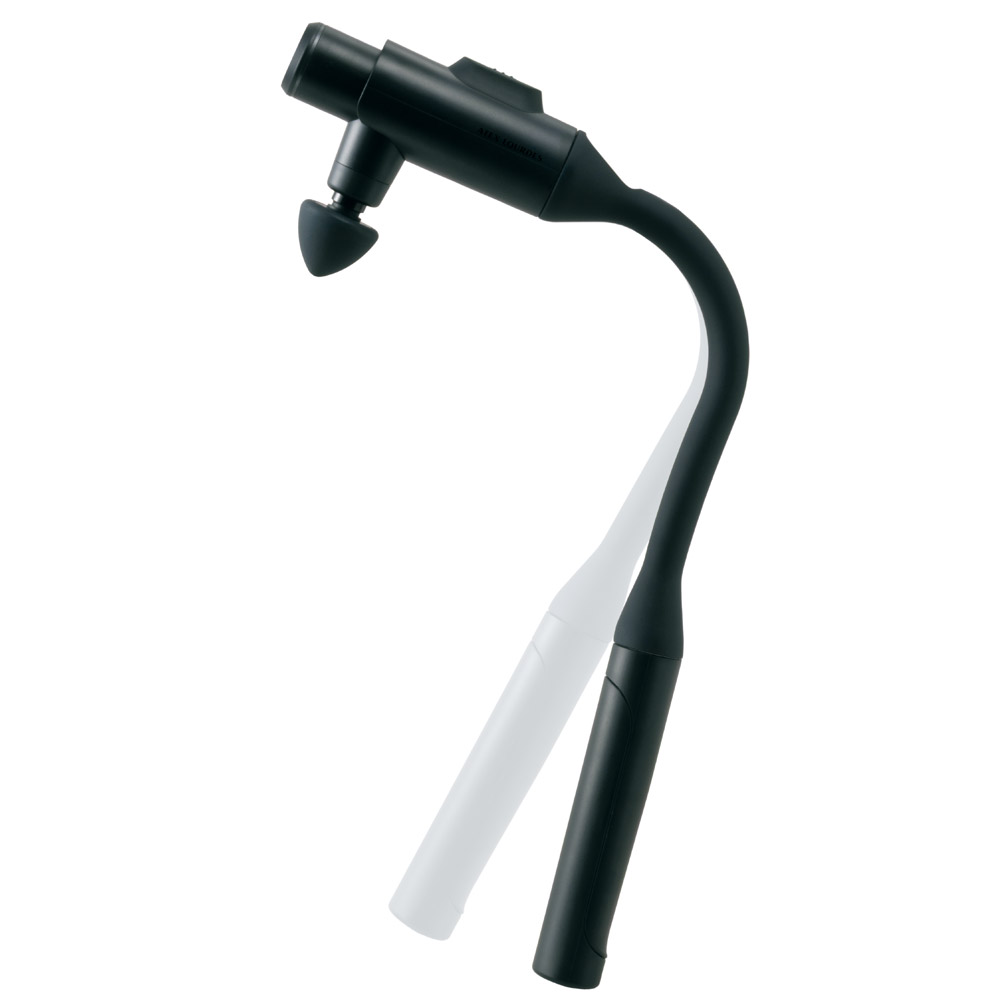 ルルドガン プラスアーム