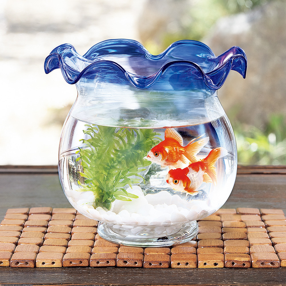 金魚鉢