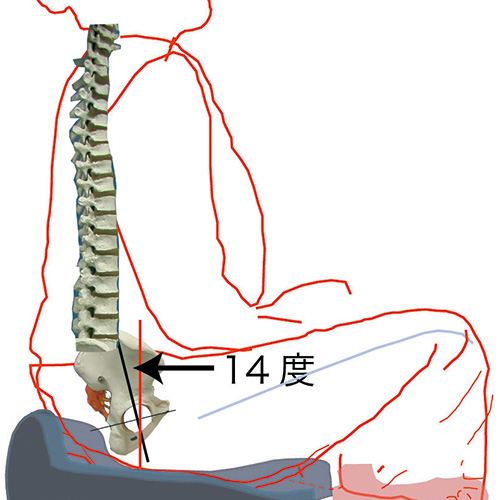 人間工学に基づいた骨盤ざぶとん