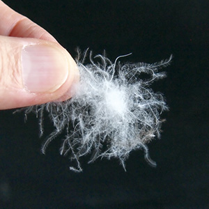 シャンブレーフーディ･ダウンコート