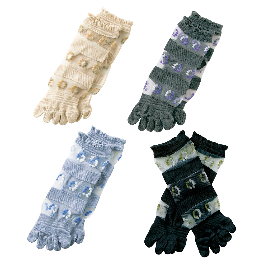 5本指シースルーソックス／4色セット