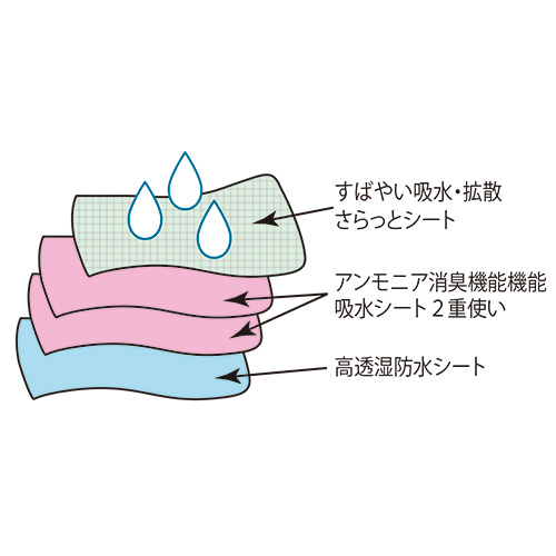 軽失禁対応ショーツ／2枚セット