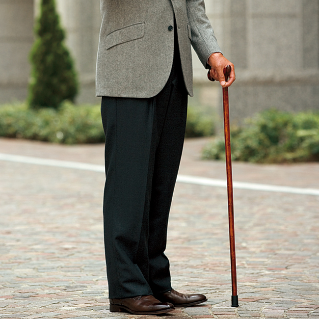 ステッキ/ブラックソーン