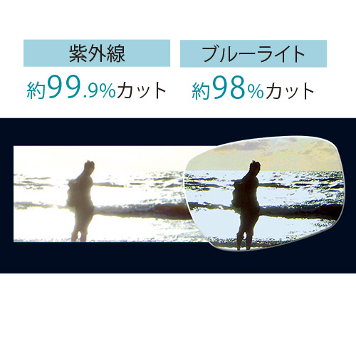 機能性サングラス／ウェルネス プロテクト