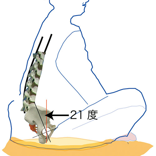 人間工学に基づいた骨盤ざぶとん