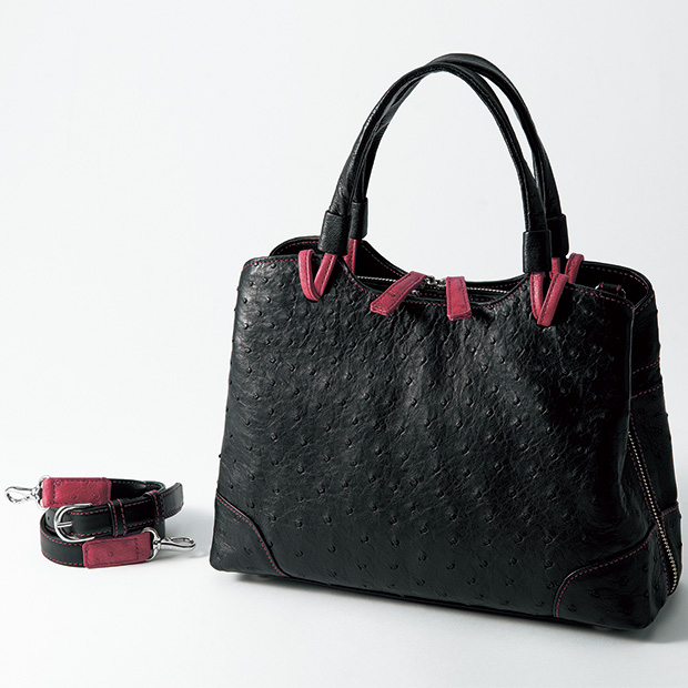 オーストリッチの2ウェイバッグ