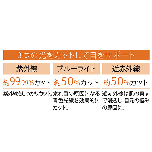 ルーペ付サングラス／トリプルーペ