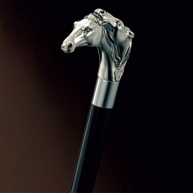 ステッキ／ホース