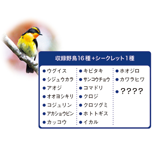 野鳥の声が鳴る目覚まし時計