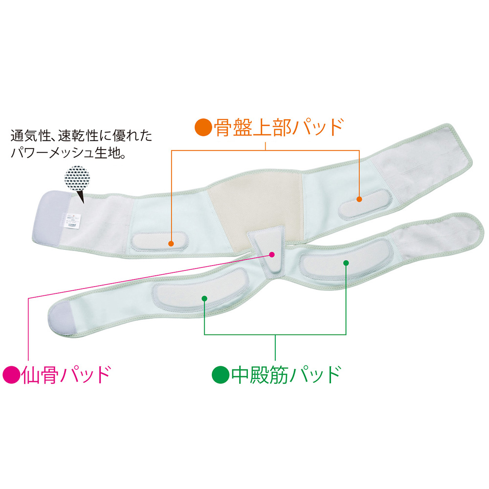 中殿筋＋腰ガード／メッシュ薄型