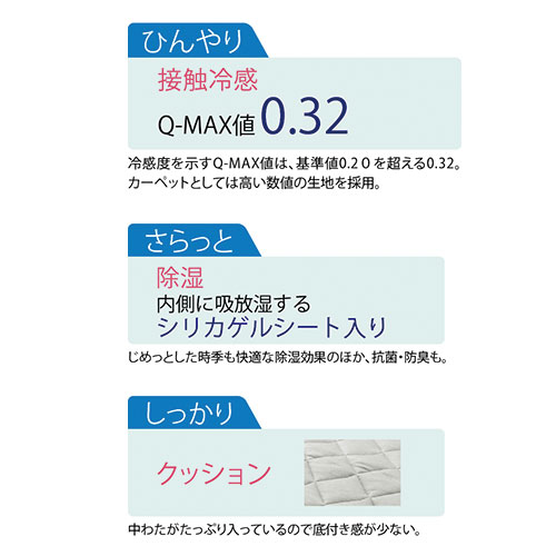 さらっと除湿・洗える吸湿冷感カーペット