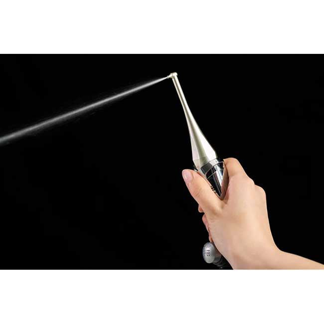 ナノフェミラス･デンタル