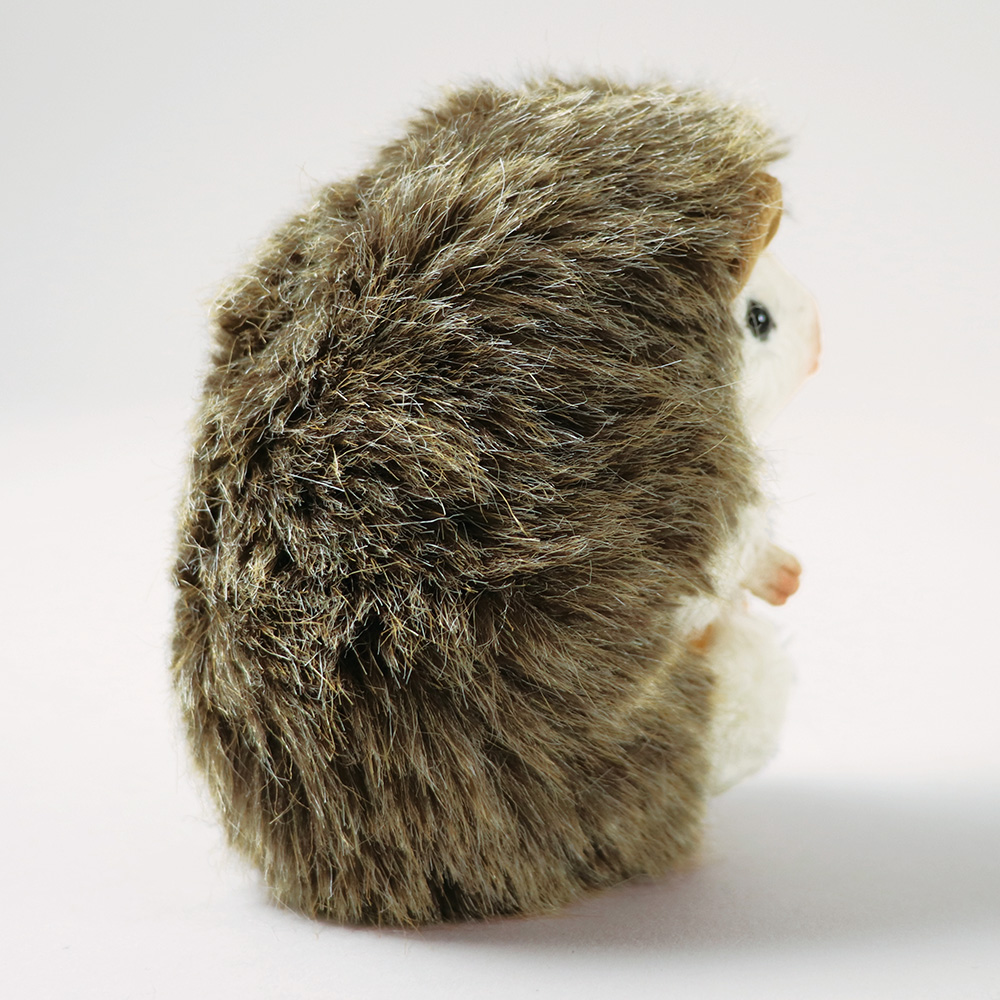 赤ちゃんハリネズミのジョギー