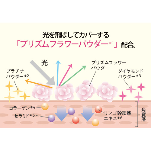 パーフェクトグロウメッシュファンデーションおまとめ特別セット