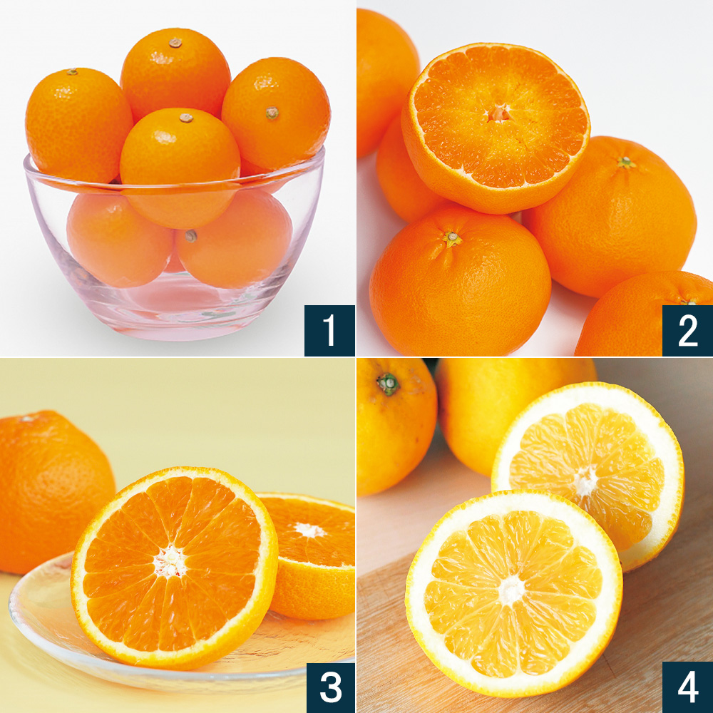 旬の美味しいフルーツ 12ヵ月頒布会