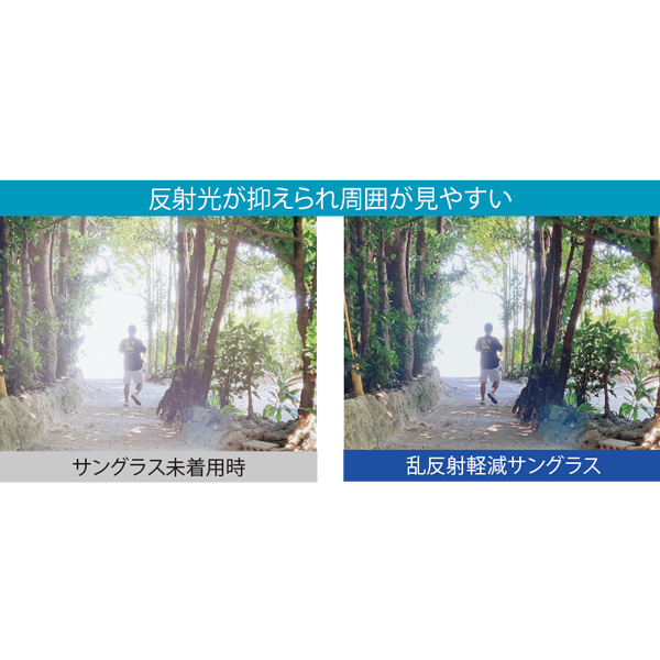 旅に便利な乱反射軽減サングラス／レディス