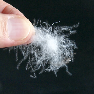 グレースダウンコート