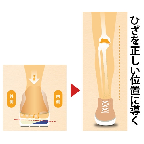 ひざに優しいウォーキングシューズ／ユウドウミー2／メンズ