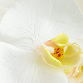 アートフラワー／ファレノプシスL