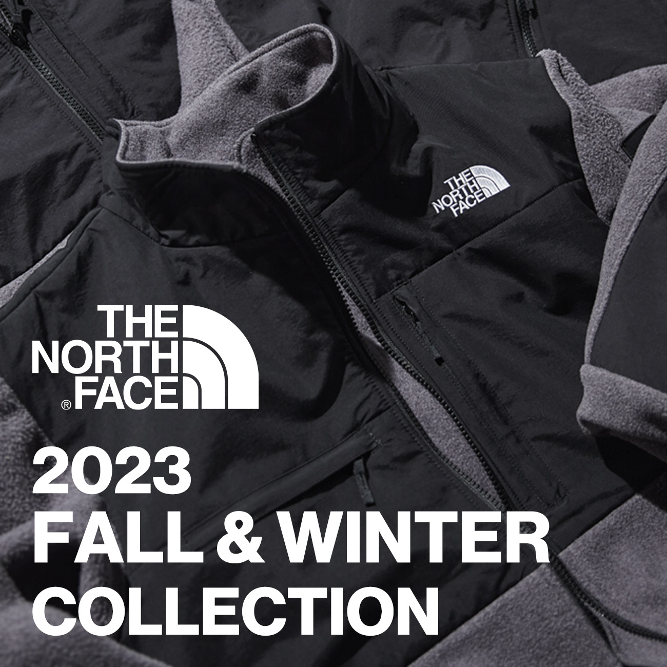 ＴＨＥ　ＮＯＲＴＨ　ＦＡＣＥ/　ザ・ノースフェイス