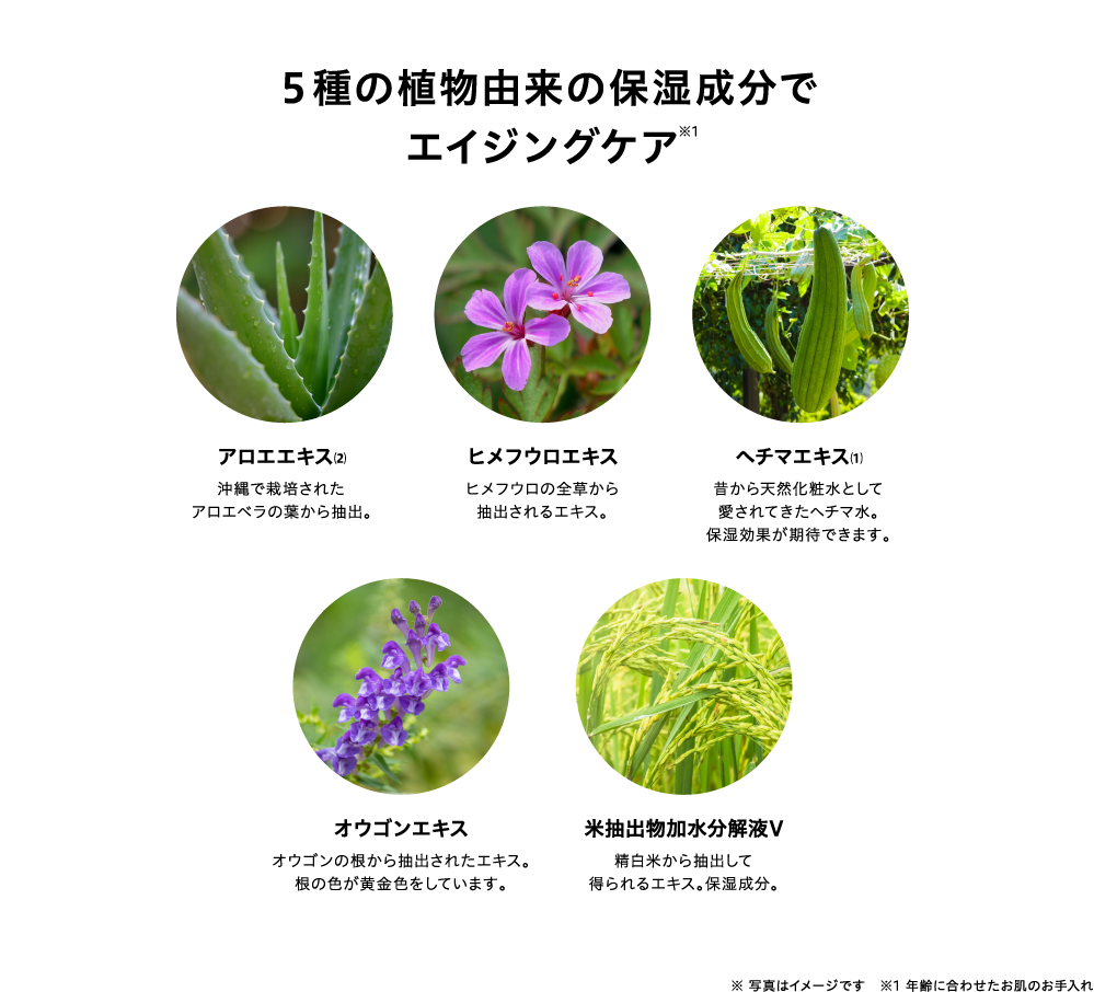 ５種の植物由来の保湿成分で エイジングケア※1