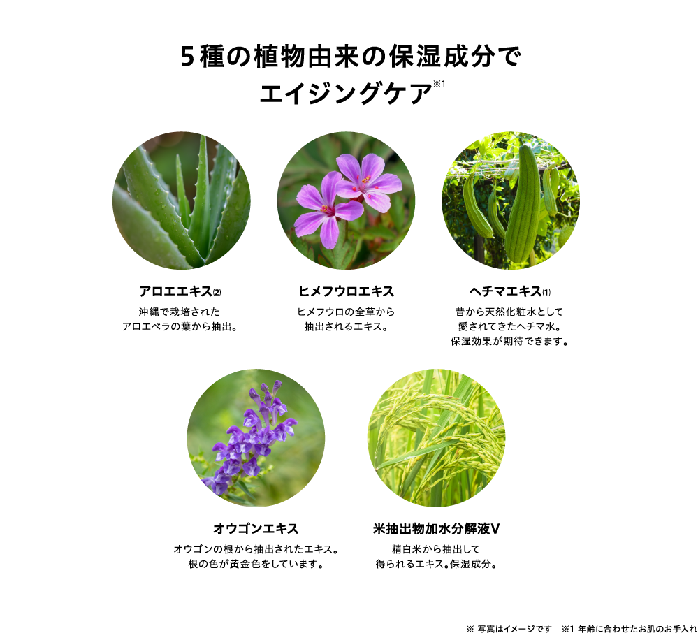 5種の植物由来の保湿成分で エイジングケア※1