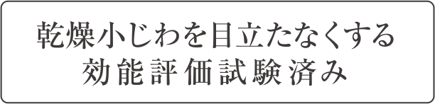 Point03 乾燥小じわを目立たなくする効能評価試験済み