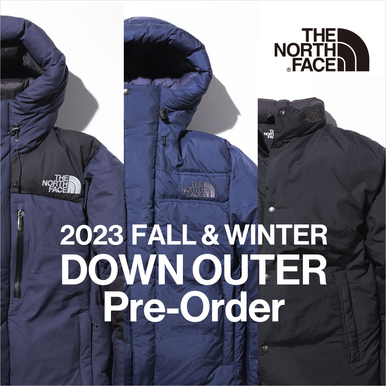 特集】THE NORTH FACE 23FW 先行受注