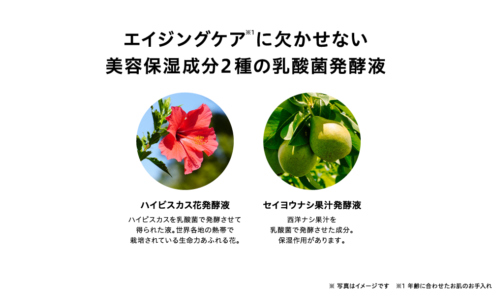 エイジングケア※1に欠かせない美容保湿成分2種の乳酸菌発酵液 ハイビスカス花発酵液 セイヨウナシ果汁発酵液