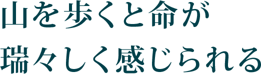 Episode04. 山を歩くと命が瑞々しく感じられる