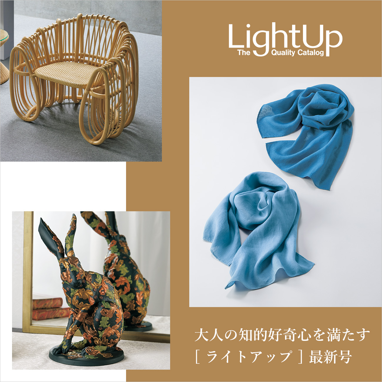 【特集】LightUp／ライトアップ