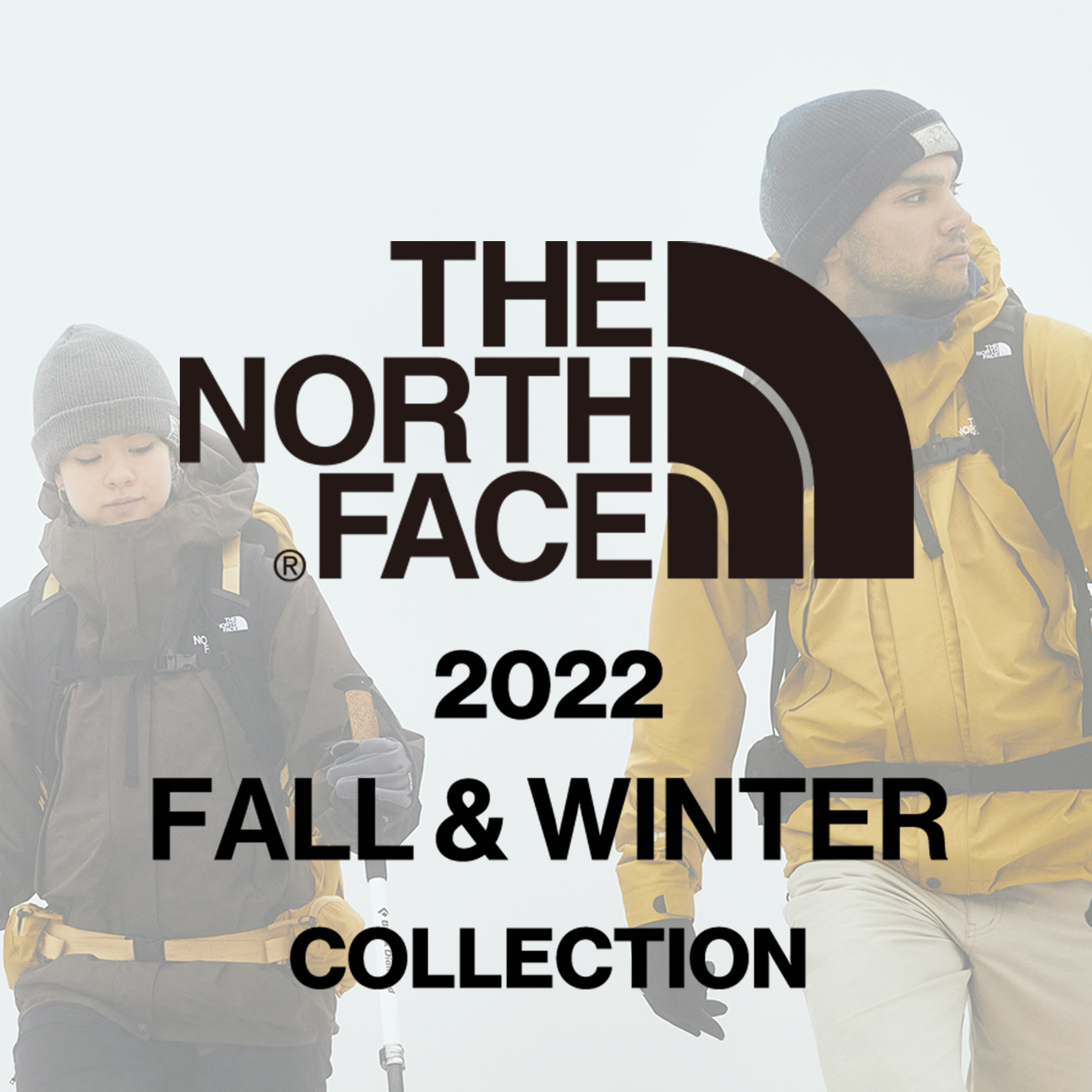 THE NORTH FACE／ザ･ノース･フェイス