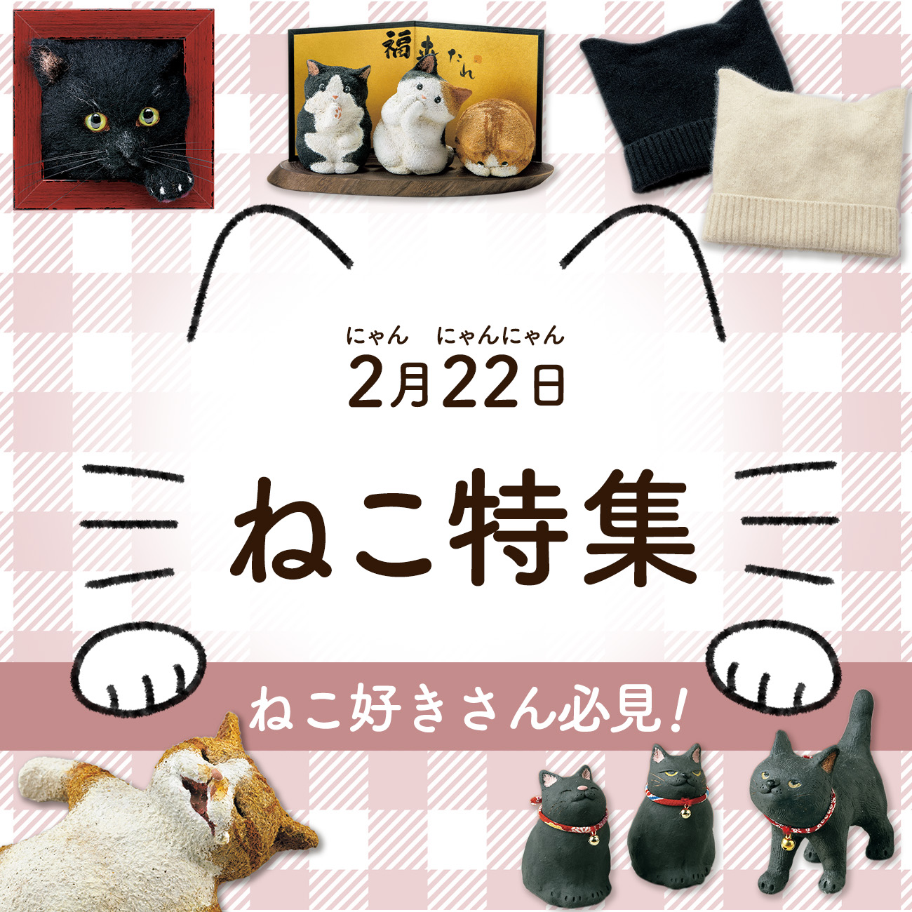 【特集】ねこ 【特集】ねこ