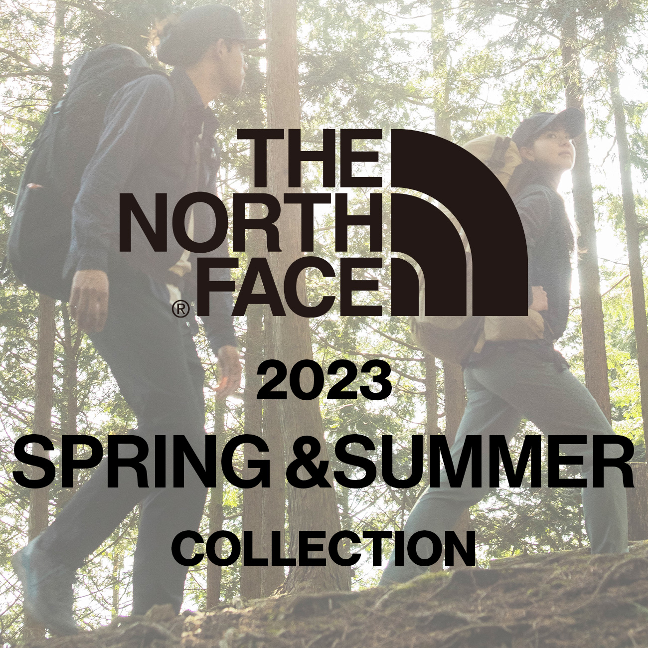 THE NORTH FACE／ザ･ノース･フェイス