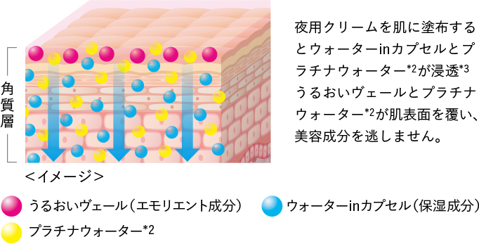 夜用クリームを肌に塗布するとウォーターinカプセルとプラチナウォーター*2が浸透*3うるおいヴェールとプラチナウォーター*2が肌表面を覆い、美容成分を逃しません。